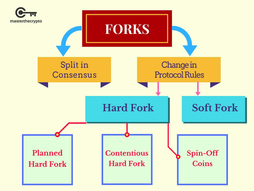 What are hard forks