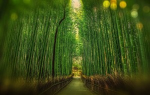 Beginners Guide to Binance Exchange