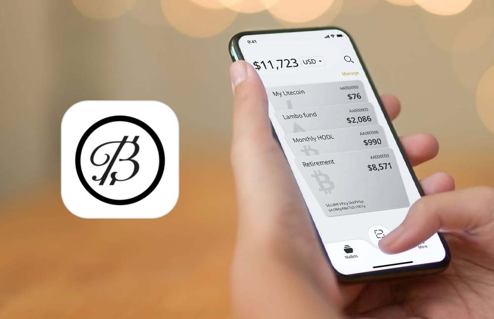 ballet crypto wallet review