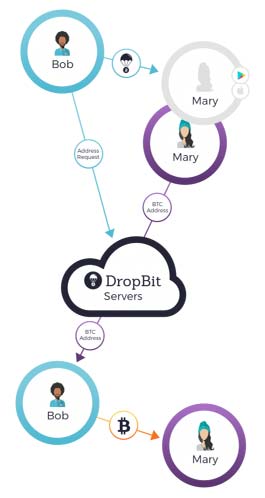 how dropbit app works