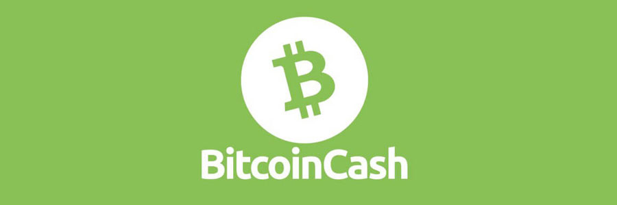 Bitcoin Cash (BCH) in 2020